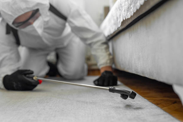 Professional Termite Control technician working in Tower Lakes, IL
