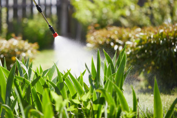 24/7 Emergency Termite Control experts in Tower Lakes, IL