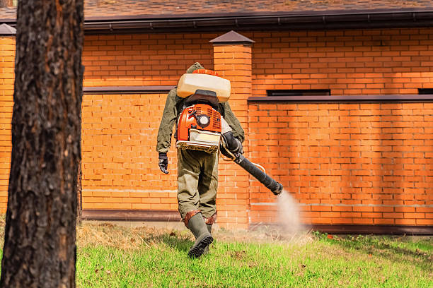Top rated local Termite Control specialists in Tower Lakes, IL